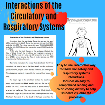 Preview of Interactions of the Circulatory and Respiratory Systems