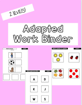 Preview of Interactive Adapted Work Binder *TWO levels