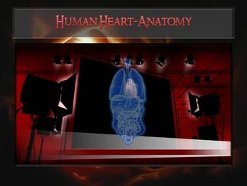 Preview of Interactive Anatomy of the Heart