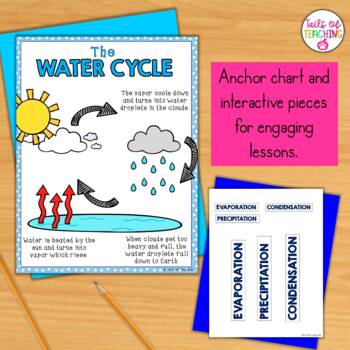 The Water Cycle Worksheets and Anchor Chart by Tails of Teaching