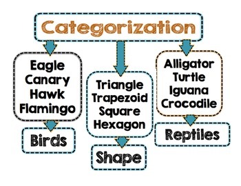 Interactive Anchor Charts Classify And Categorize Int - vrogue.co