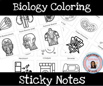 Preview of Sticky Notes Interactive Biology Biomedical Coloring Notetaking Sticky Notes