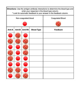 Preview of Interactive Blood Typing Practice