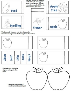Preview of Apples Interactive Brochure: All About Apples-Non-Fiction Research CCSS Aligned