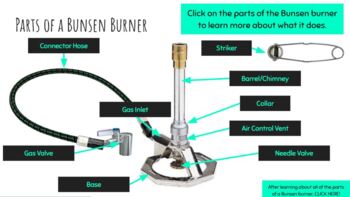 Preview of Interactive Bunsen Burner - Parts and Safety VIRTUAL ACTIVITY