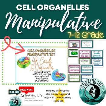 Preview of Interactive Cell Organelle Manipulatives Hands On #Bestsellers