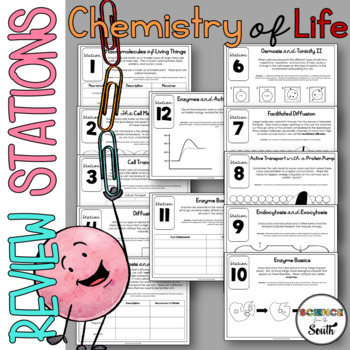Preview of Chemistry of Life (Biochemistry) Stations Review or Assessment Unit Activity