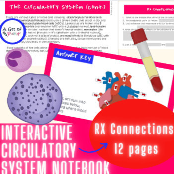 Preview of Interactive Circulatory System notebook (anatomy&physiology of human body)