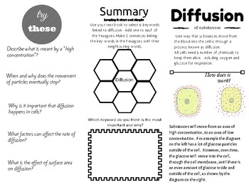 Preview of Interactive Diffusion Trifold Leaflet - Differentiated and engaging