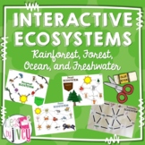 Ecosystems Interactive Activities: Food Webs & Food Chains