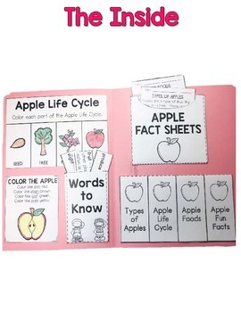 apple photos album vs folder