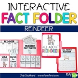 Interactive Fact Folder - Reindeer