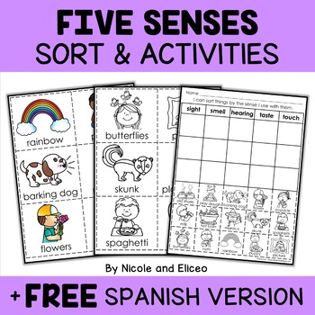 Preview of Five Senses Sort Activities + FREE Spanish