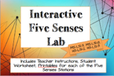Interactive Five Senses Lab (NGSS MS-LS1-3, MS-LS1-8, HS-L