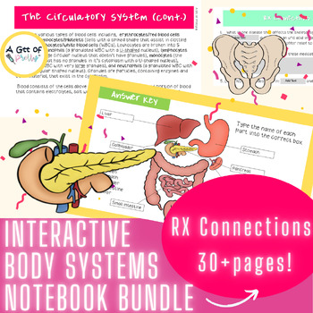 Preview of Interactive Human Body Systems Notebook (Grades 11, 12, college, pharmacy)