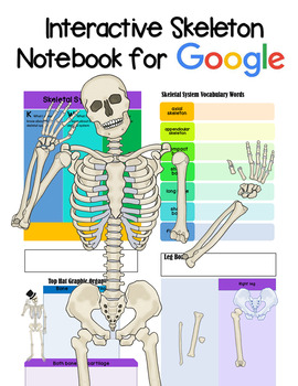 Preview of Interactive Human Skeleton Google Notebook Distance Learning