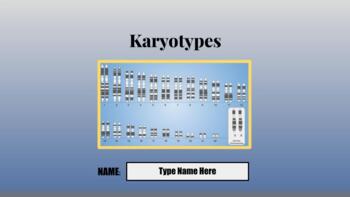 Preview of Interactive Karyotype Activity for Google Slides™