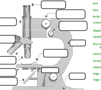 Preview of Interactive - Labeling the Parts of a Microscope