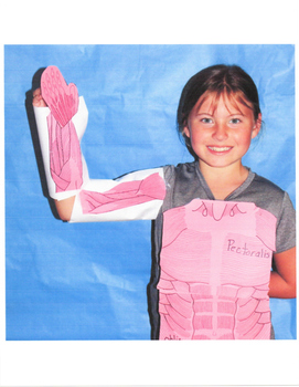Interactive Muscles: Wear It - Label It - Display It by Wendy's Bookworks
