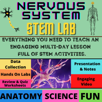 Preview of Interactive Nervous System STEM Anatomy Lab and Presentation: Learn and Engage!