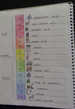 Preview of Interactive Notebook: Acids and Bases pH Scale