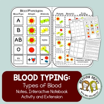 Preview of Science Interactive Notebook - Blood Typing Notes and Activity