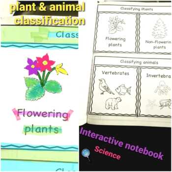Preview of Interactive Notebook Science-Plant & animal classification