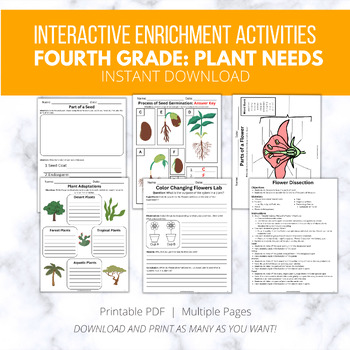 Preview of Interactive Plant Needs Worksheets, Life Science, Engaging Activities