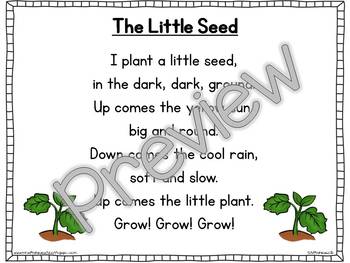 Interactive Pocket Chart {Poem Builder} - The Little Seed by Alessia ...