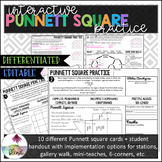 Interactive Punnett Square Practice: Editable, Differentiated!