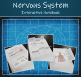 Interactive Science Notebook - Human Organ Systems (The Ne