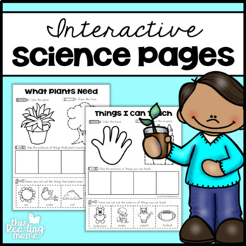 Preview of Interactive Science Pages