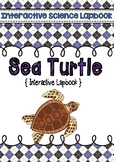 Interactive Sea Turtle Lapbook