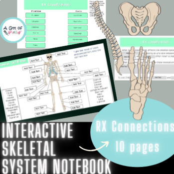 Preview of Interactive Skeletal System notebook ( anatomy & physiology with pharmacy ref)