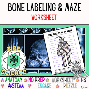 Preview of Skeletal System Worksheet For Kids Not Grade Specific Vocabulary Maze & Labeling
