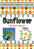 Interactive Sunflower Lapbook