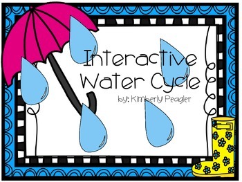 Preview of Interactive Water Cycle