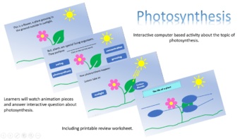 Preview of Interactive computer activity based on photosynthesis