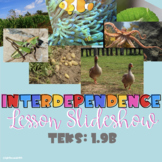 Interdependence