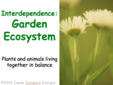 Interdependence: Garden Ecosystem