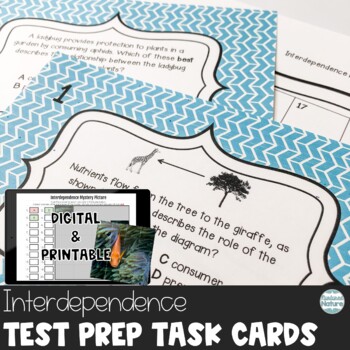 Preview of Interdependence Science Review Test Prep Task Cards – Nutritional Relationships