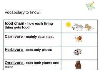 Interdependence Science Vocabulary by Kim Woods | TPT