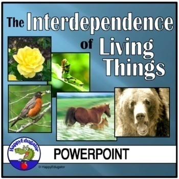 Preview of Interdependence of Living Things and Food Chains PowerPoint & Easel Assessment