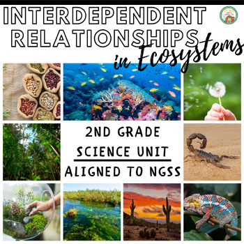Preview of 2nd Grade Science: Interdependent Relationships in an Ecosystems