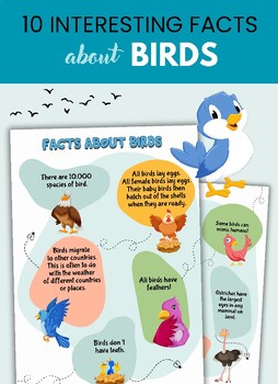 Preview of Interesting Facts About Birds.