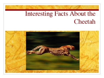 Preview of Interesting Facts About the Cheetah