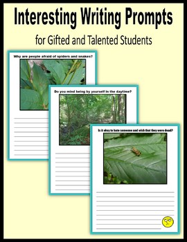 Preview of Interesting Writing Prompts for Gifted and Talented Students
