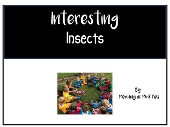 Preview of Interesting insects By: Meaning in Mud Pies