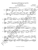 Intermezzo from Carmen Suite no.1 for Flute Duet (Score+Pa