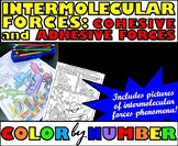 Intermolecular Forces - Color By Number